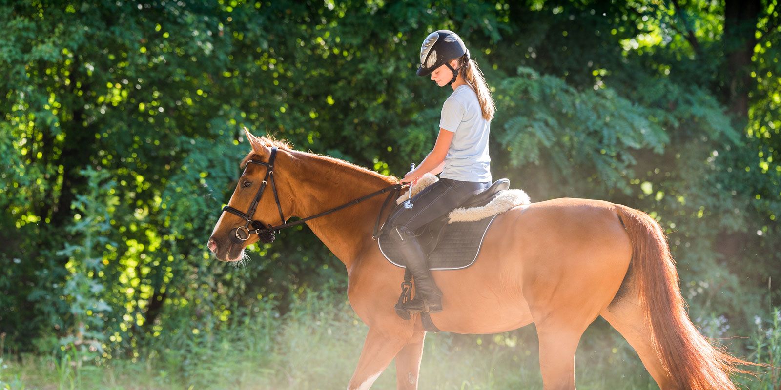 HORSE-RINDING-1600x800