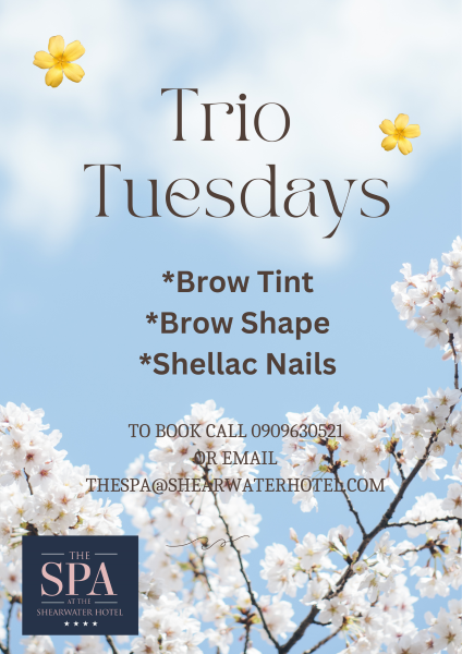 tuesday offers