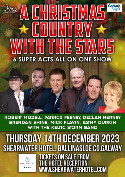 xmas night with the stars re sized