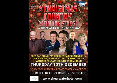 A Christmas Night with the Stars